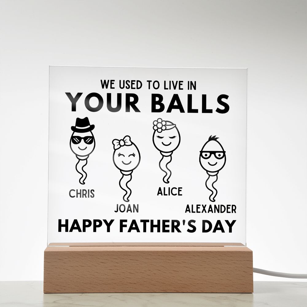 [Almost Sold Out] We Used To Live In Your Balls - Personalized Father's Day Acrylic Plaque