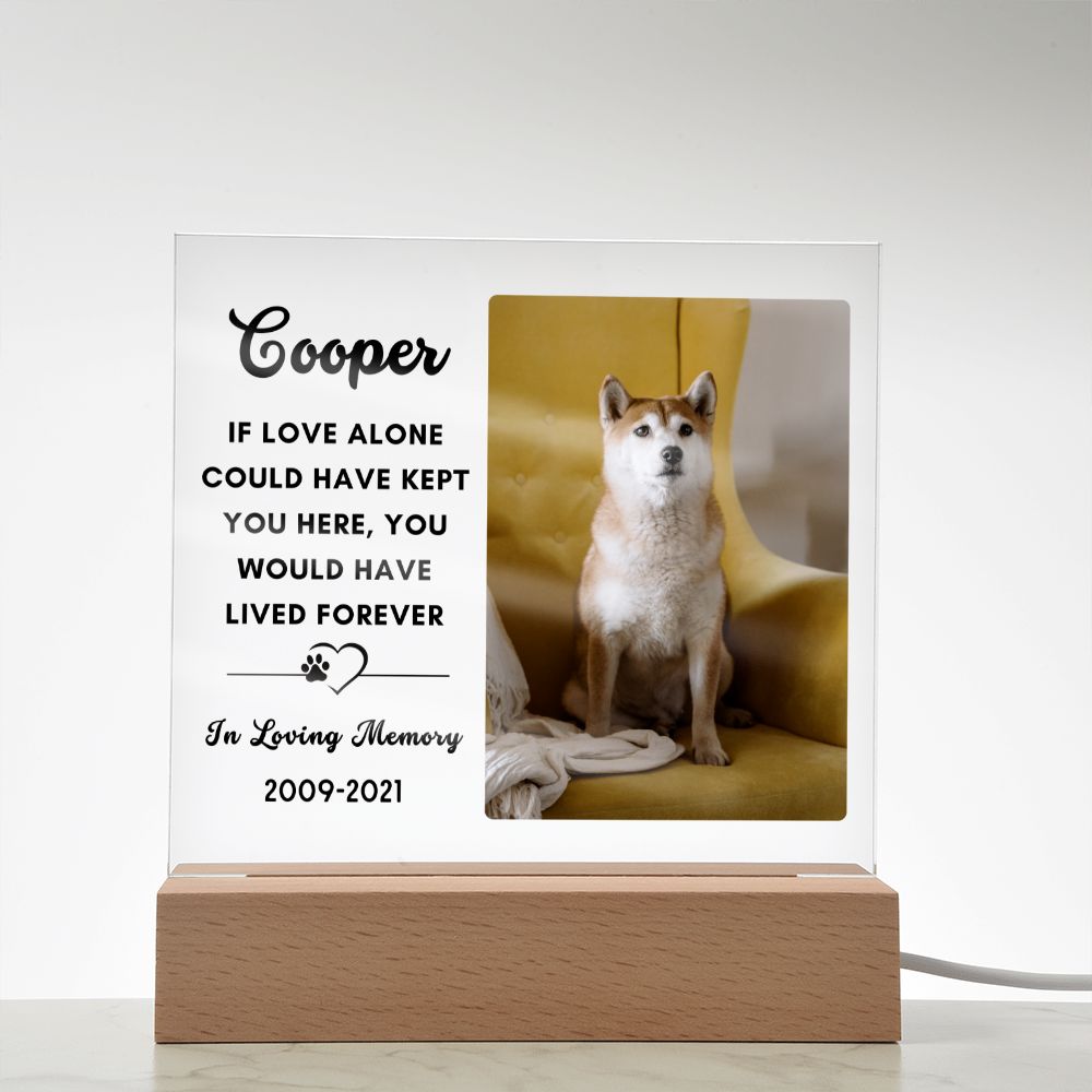 Almost Sold Out - Pet Memorial - Acrylic Plaque with Stand