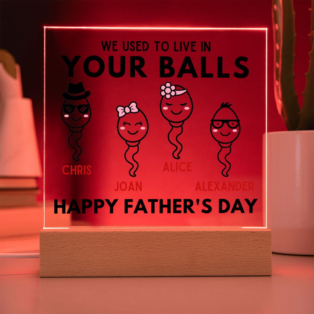 [Almost Sold Out] Personalized Happy Father's Day Gag Gift Acrylic Plaque