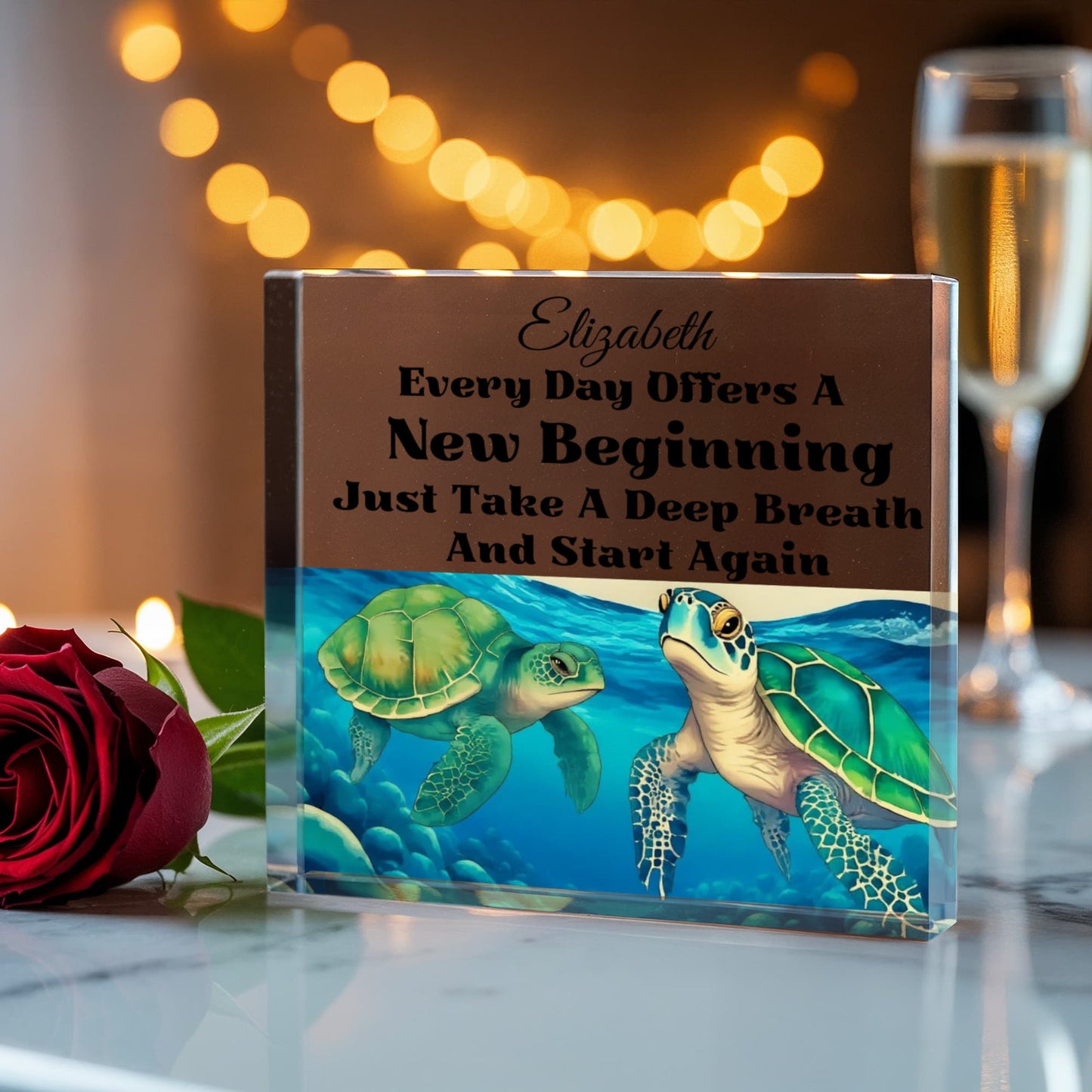 Turtle Inspirational Acrylic Plaque Block
