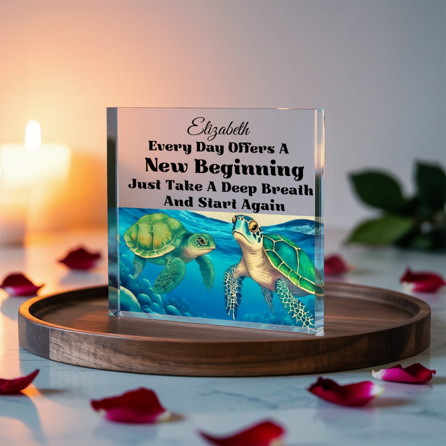 Turtle Inspirational Acrylic Plaque Block