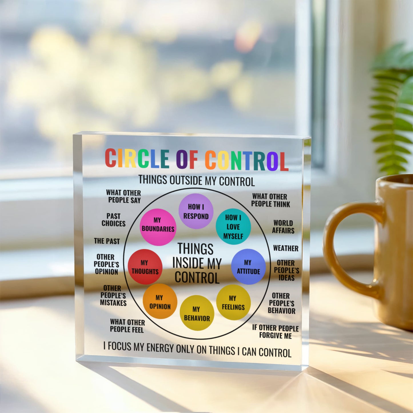 Circle of Control Acrylic Block