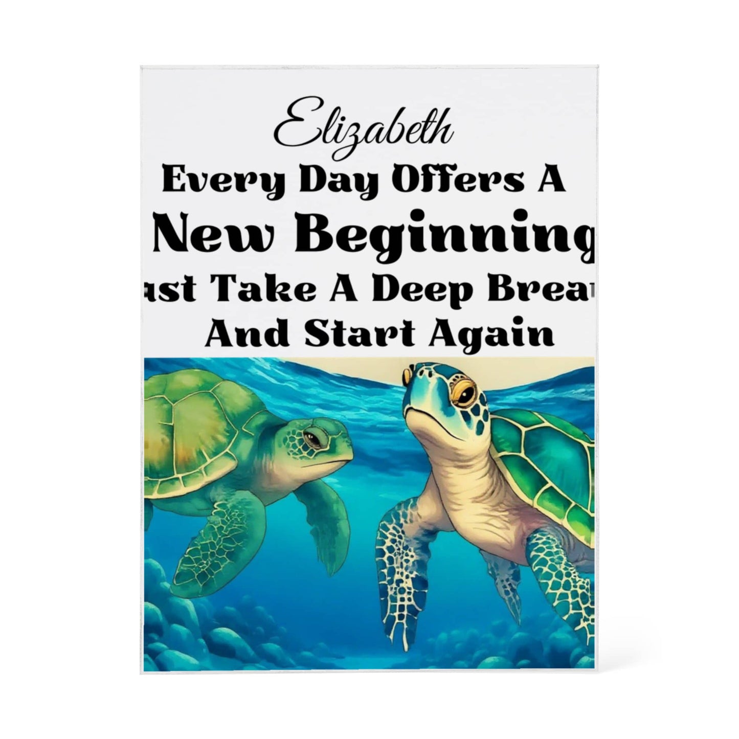 Turtle Inspirational Acrylic Plaque Block