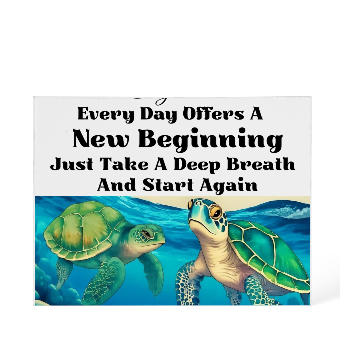Turtle Inspirational Acrylic Plaque Block