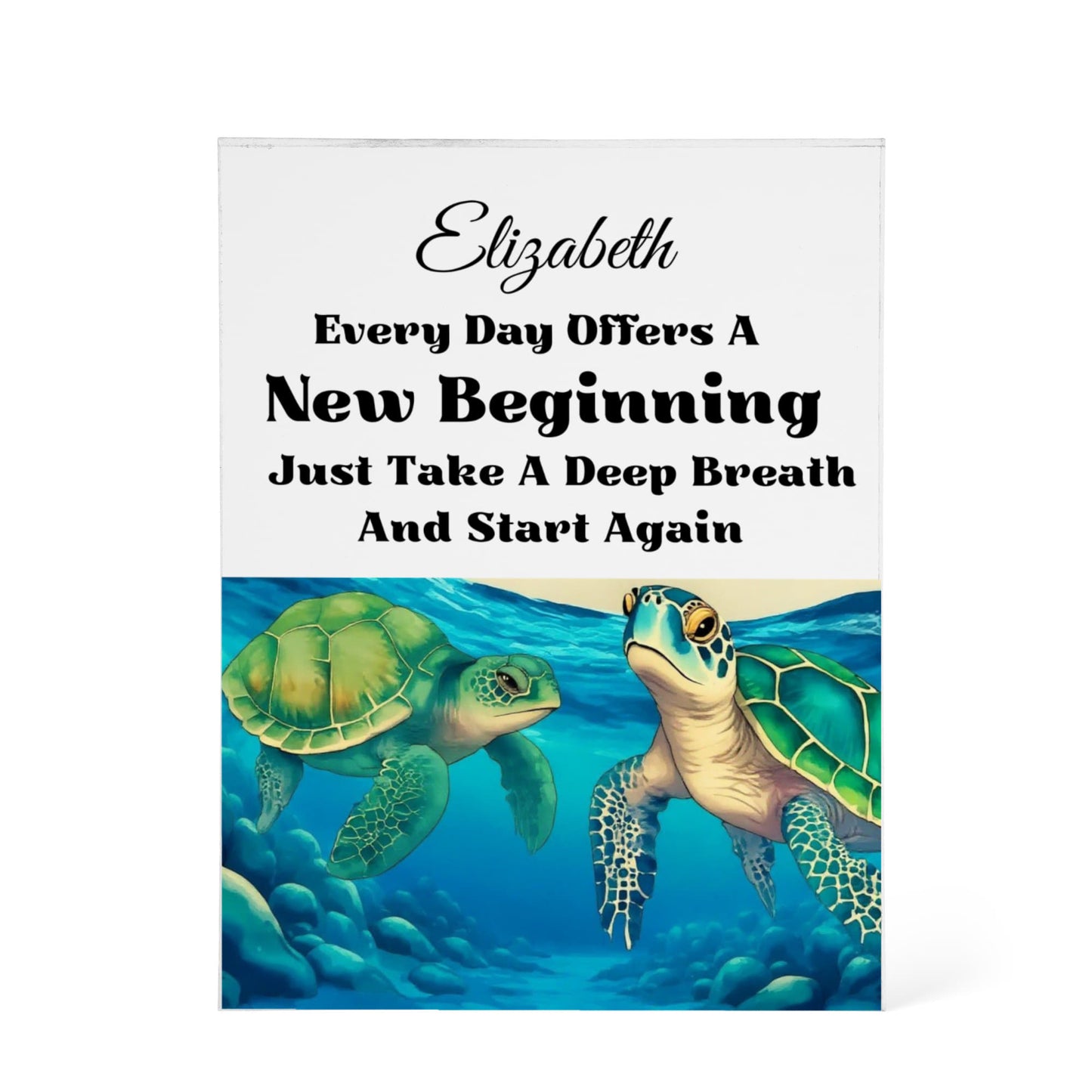 Turtle Inspirational Acrylic Plaque Block