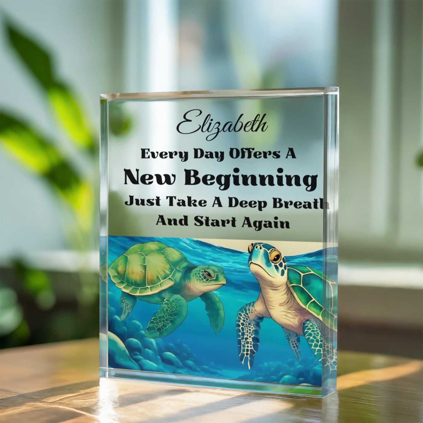 Turtle Inspirational Acrylic Plaque Block