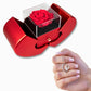 Red Heart Rose Box With Forever Love Necklace