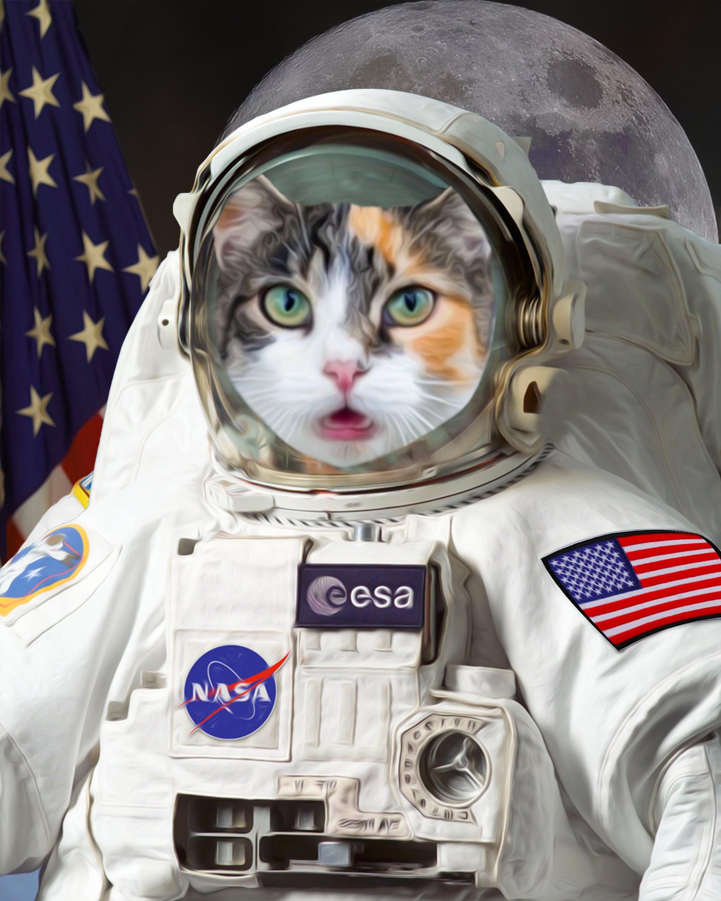 SEE YOUR BELOVED CAT EXPLORE SPACE IN THIS BEAUTIFUL CANVAS
